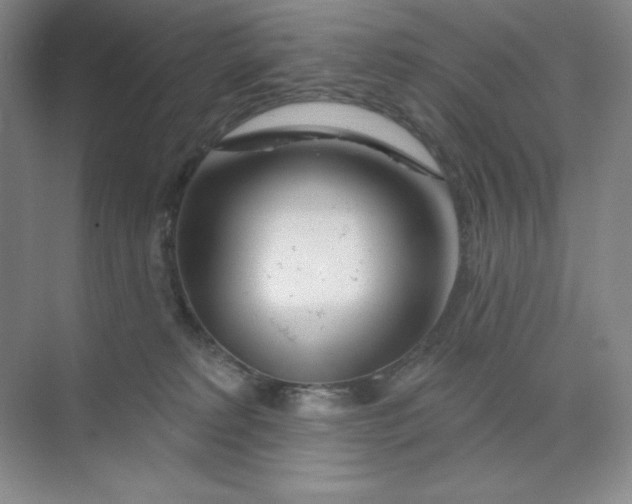 X0000070180229200606091515