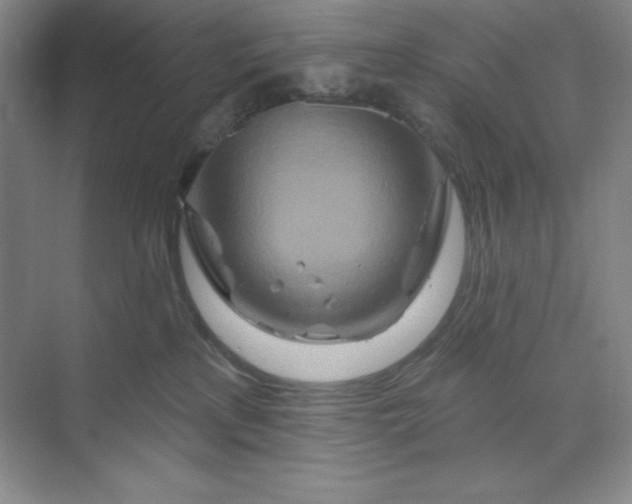 X0000070180233200606091515