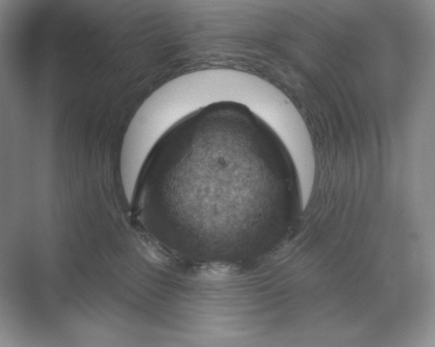 X0000070180235200606091515