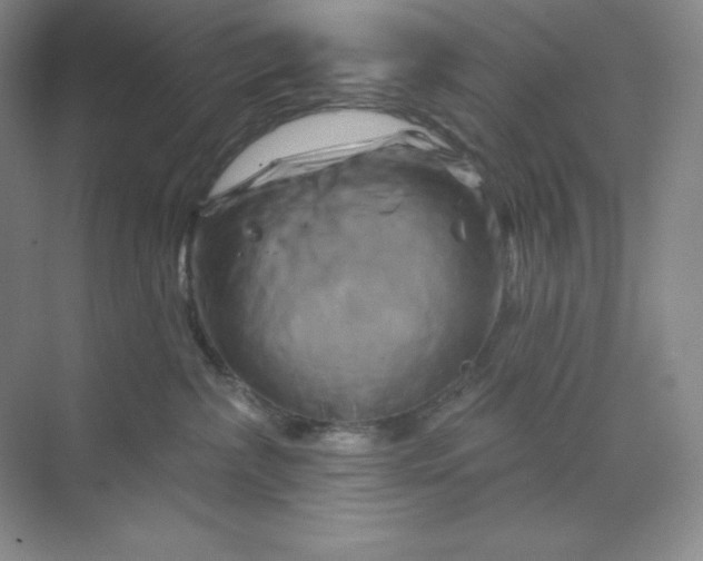 X0000070180236200606091515