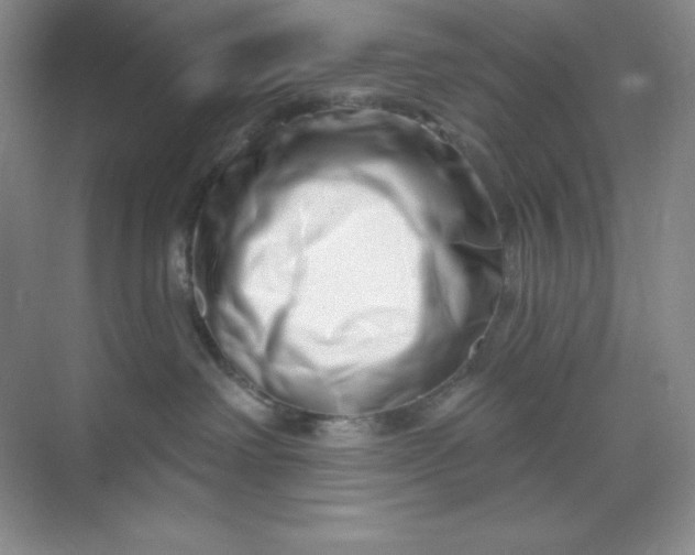X0000070180238200606091515