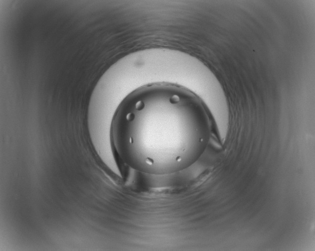 X0000070180239200606091514