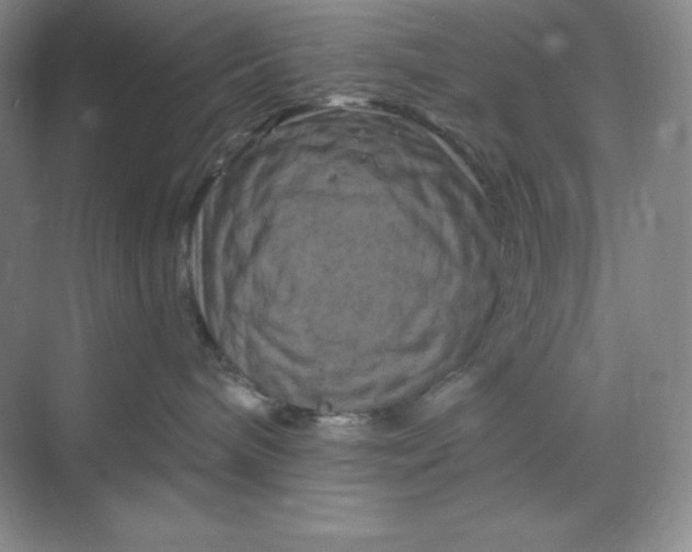 X0000070180240200606091514