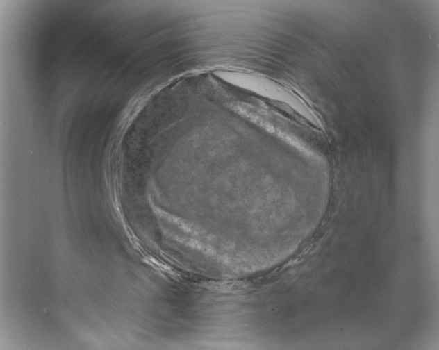 X0000070180241200606091514