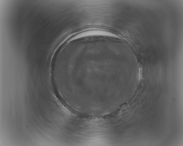 X0000070180243200606091514