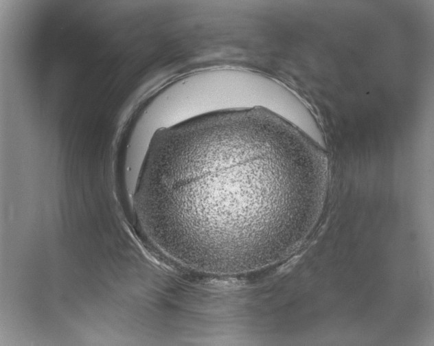 X0000070180245200606091514