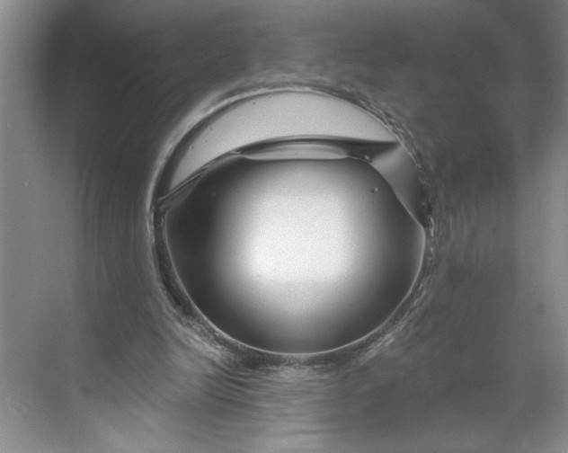 X0000070180246200606091514