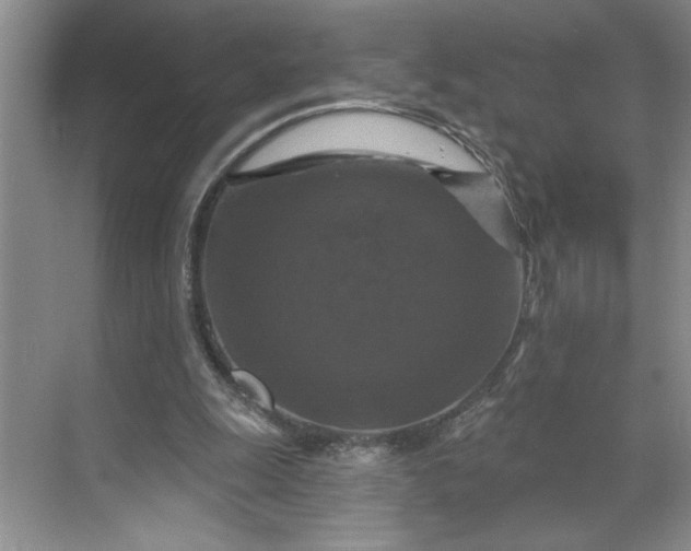 X0000070180247200606091514