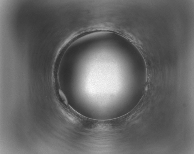 X0000070180248200606091514