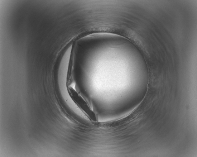 X0000070180251200606091514