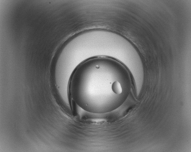 X0000070180252200606091514