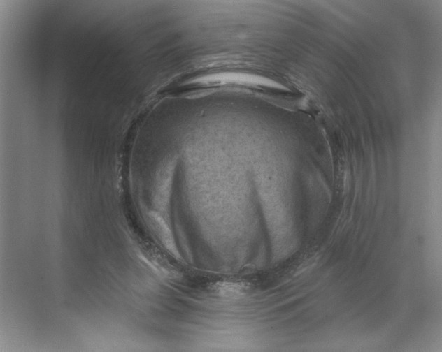 X0000070180255200606091514