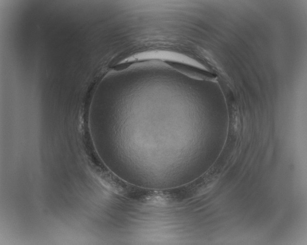 X0000070180259200606091514