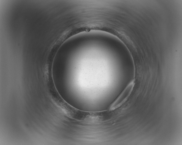 X0000070180260200606091514