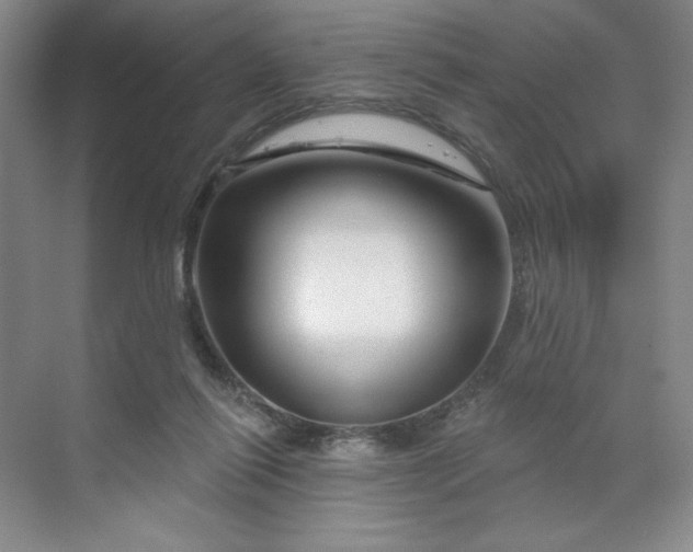 X0000070180262200606091514