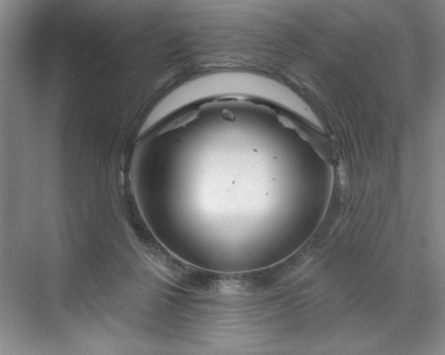 X0000070180264200606091514