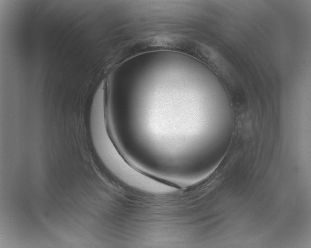 X0000070180265200606091514