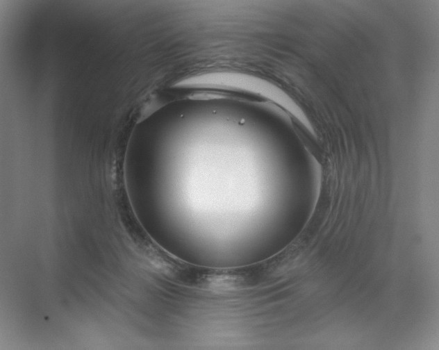 X0000070180268200606091514