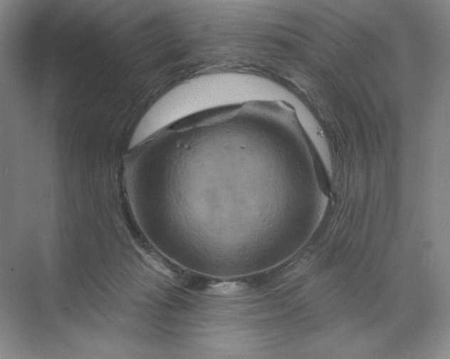 X0000070180269200606091514