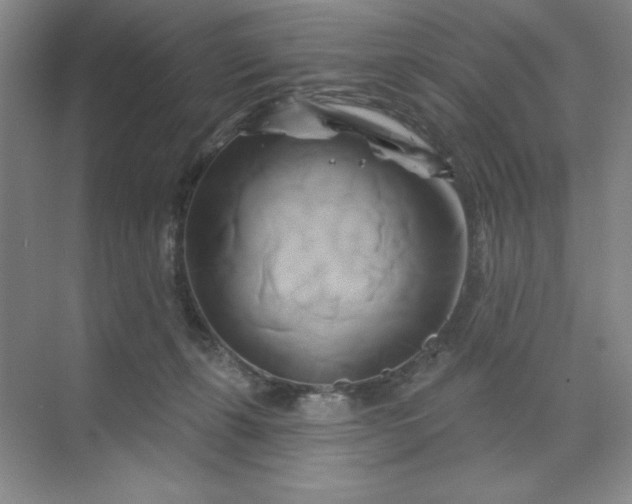 X0000070180271200606091514