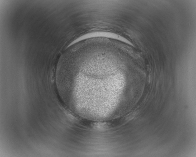 X0000070180273200606091514