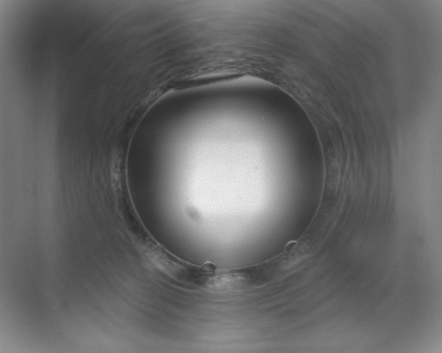 X0000070180274200606091514