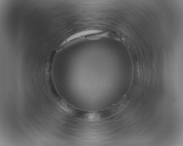 X0000070180275200606091514