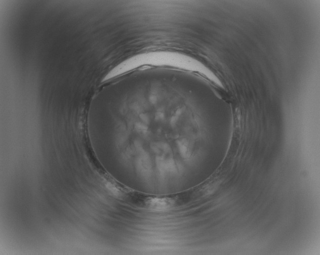 X0000070180277200606091514