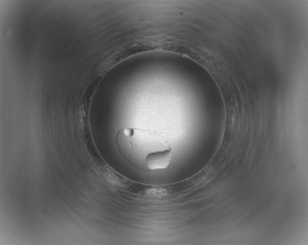 X0000070180279200606091514