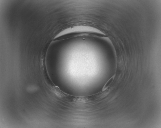 X0000070180282200606091514