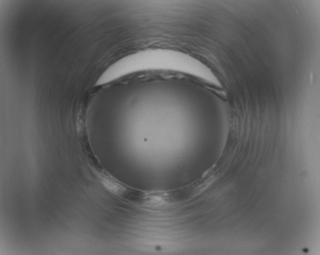 X0000070180285200606091514