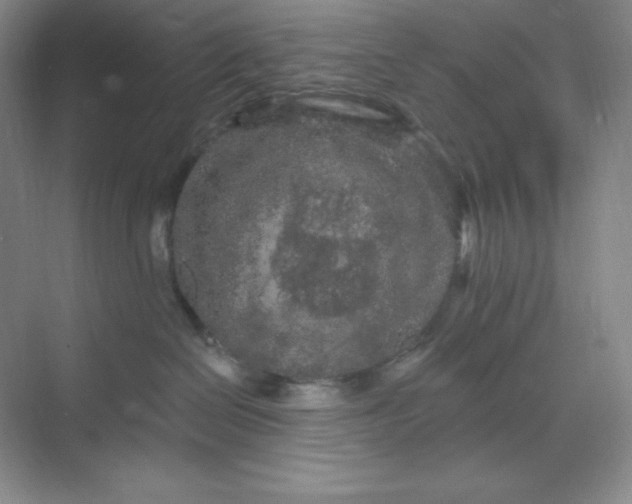 X0000070180286200606091514