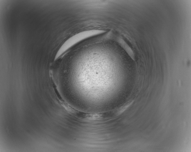 X0000070180288200606091514