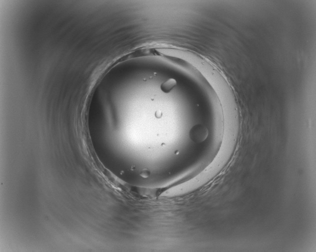 X0000070180289200606091514