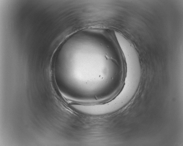 X0000070180290200606091514