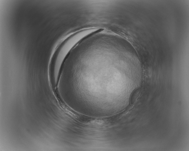 X0000070180294200606091514