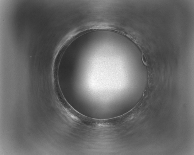 X0000070180296200606091514