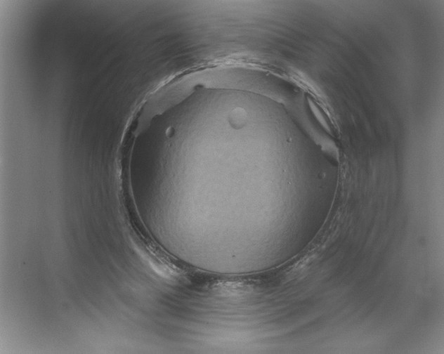 X0000070180298200606091513