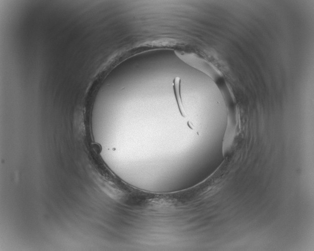 X0000070180300200606091513