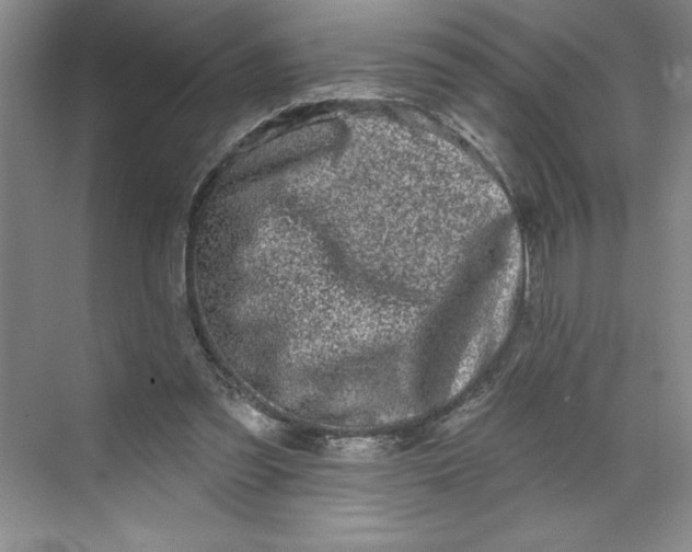 X0000070180301200606091513