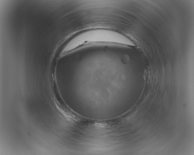 X0000070180302200606091513