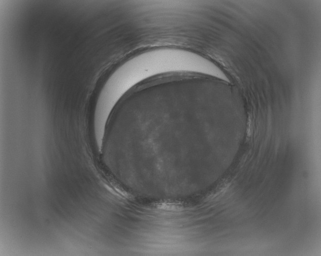 X0000070180303200606091513