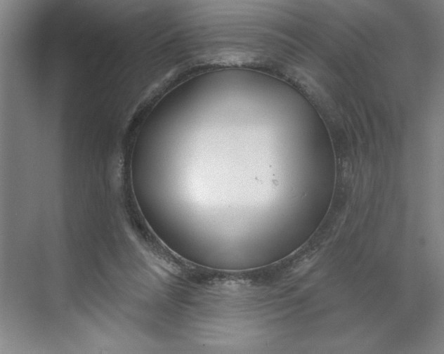 X0000070180304200606091513