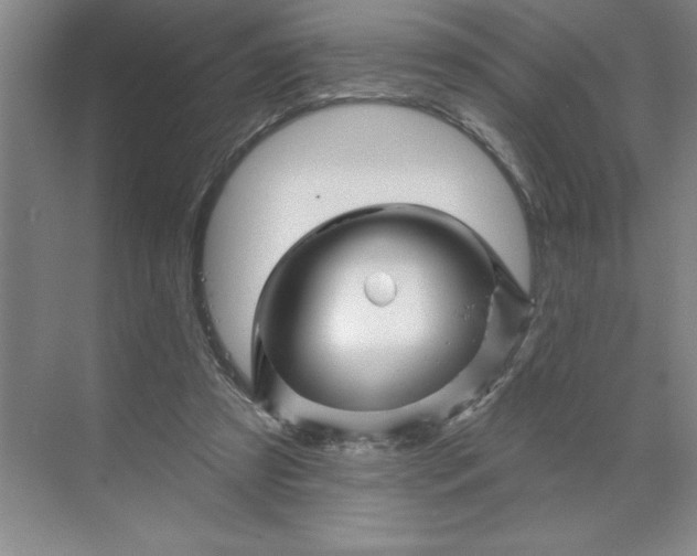 X0000070180305200606091513