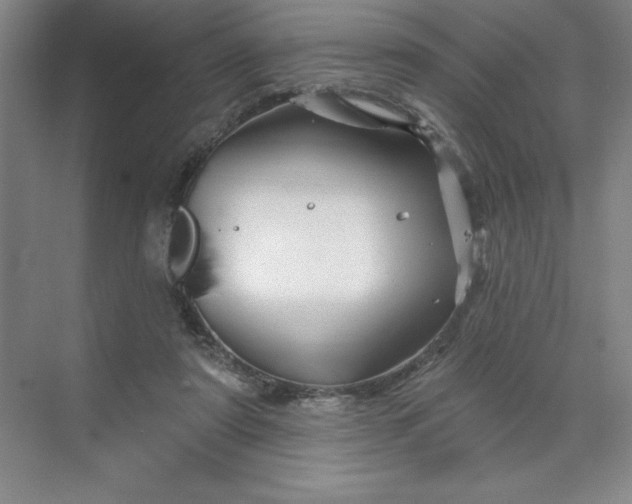 X0000070180307200606091513