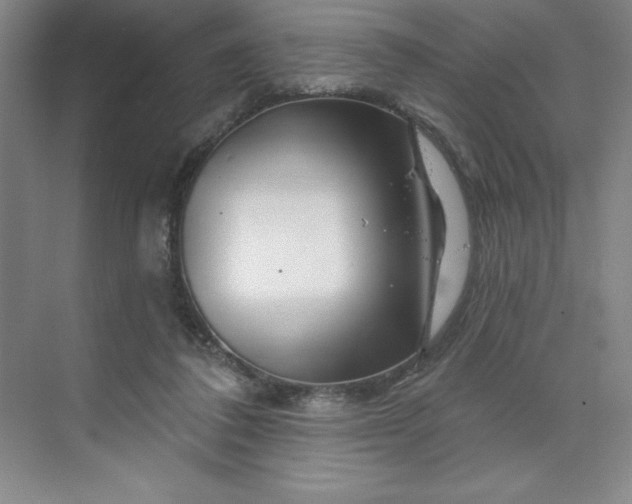 X0000070180308200606091513