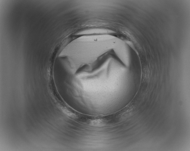 X0000070180309200606091513