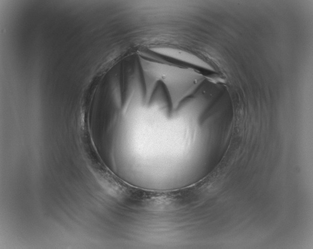 X0000070180310200606091513