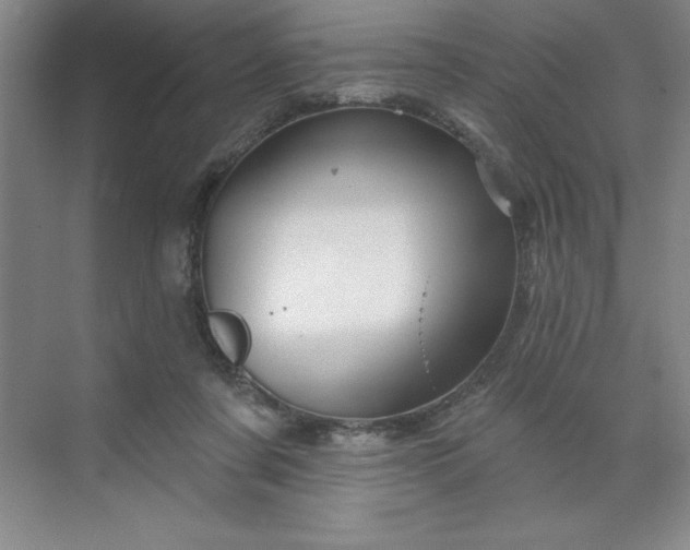 X0000070180311200606091513