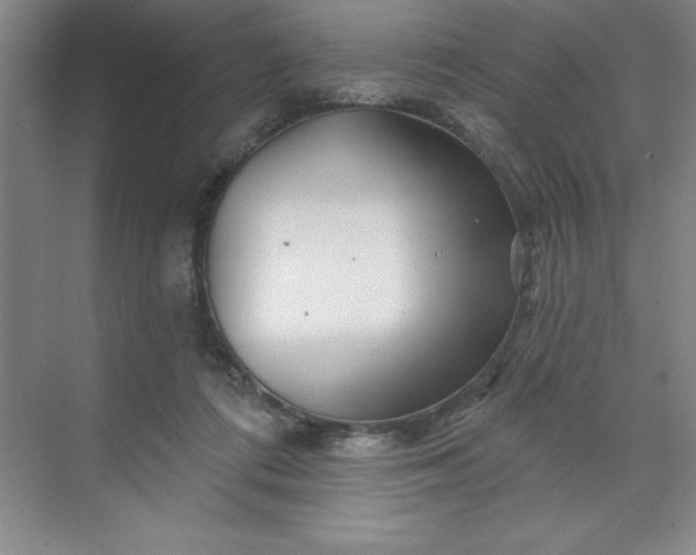 X0000070180312200606091513